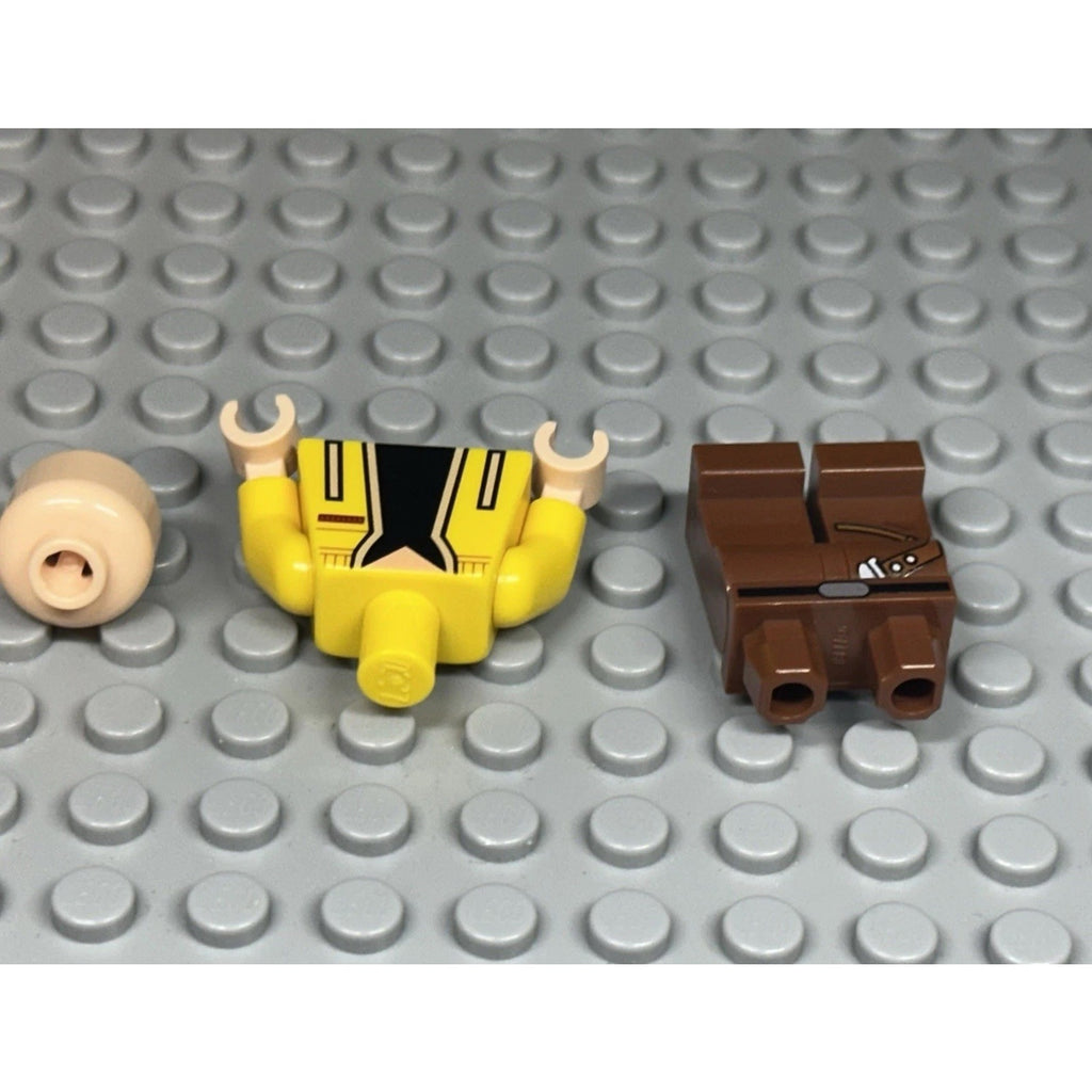 TCS Celebration Luke Minifigure
