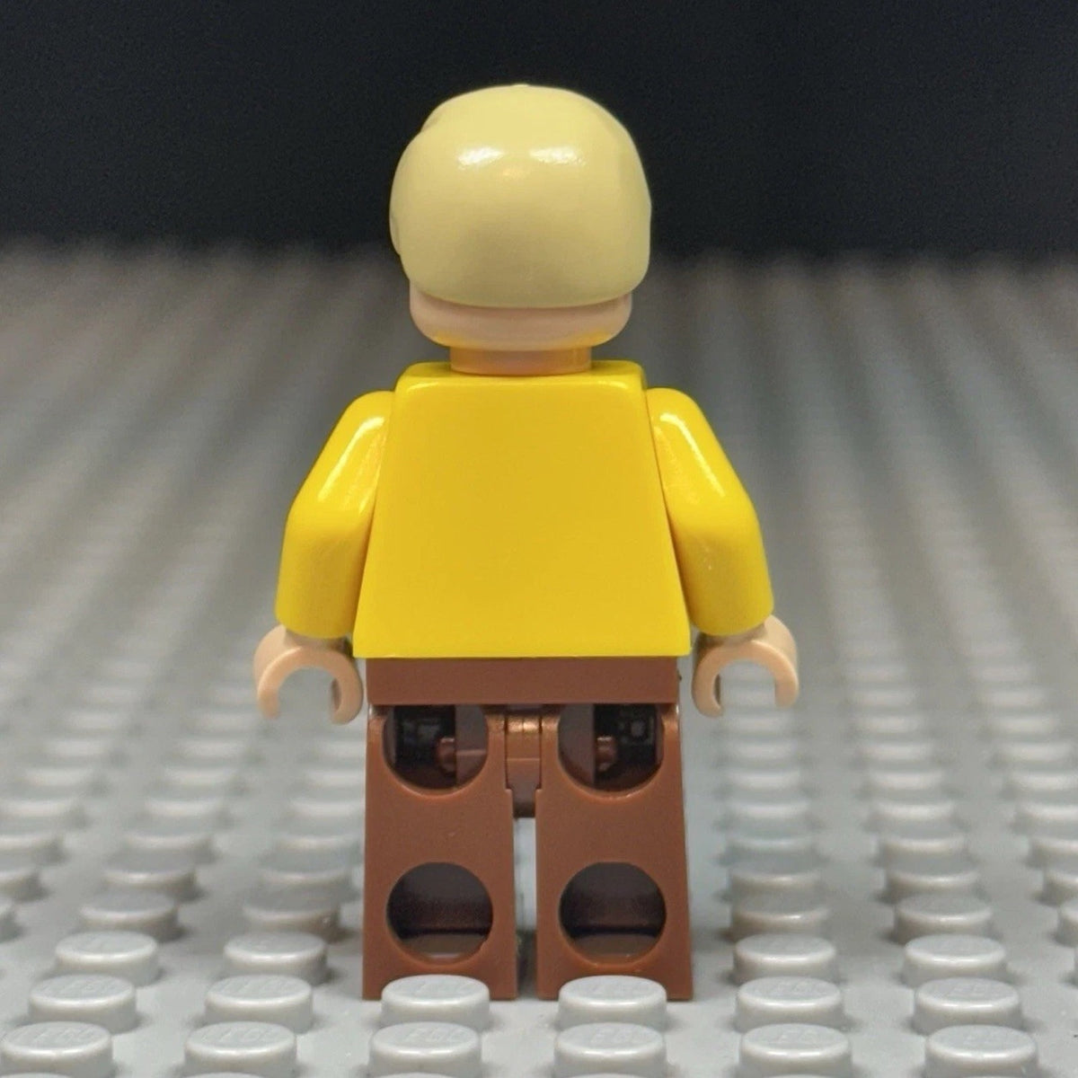 TCS Celebration Luke Minifigure