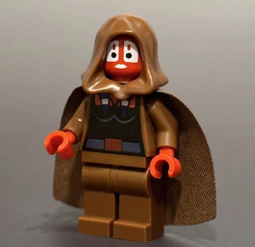 Hooded Red Master custom figure