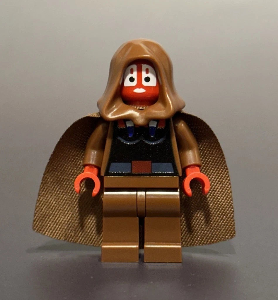 Hooded Red Master custom figure