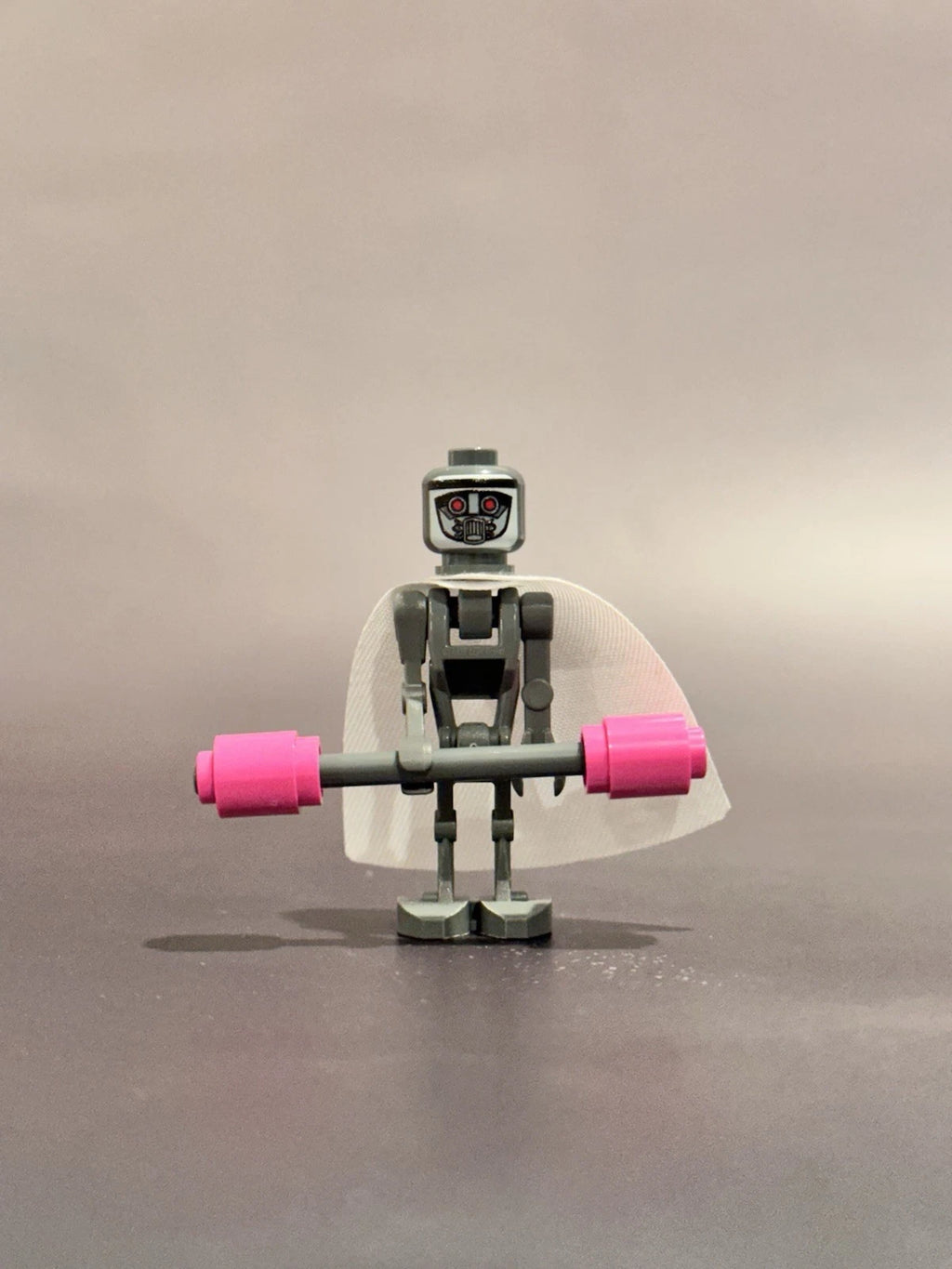 Elite Sentinel Guard Custom Figure